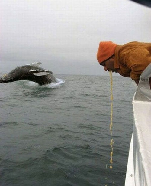 クジラを取ろうとしたら変なモノが撮れた(拡大表示)