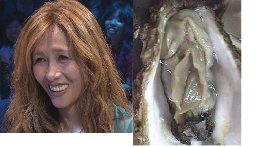 工藤静香とか木(拡大表示)