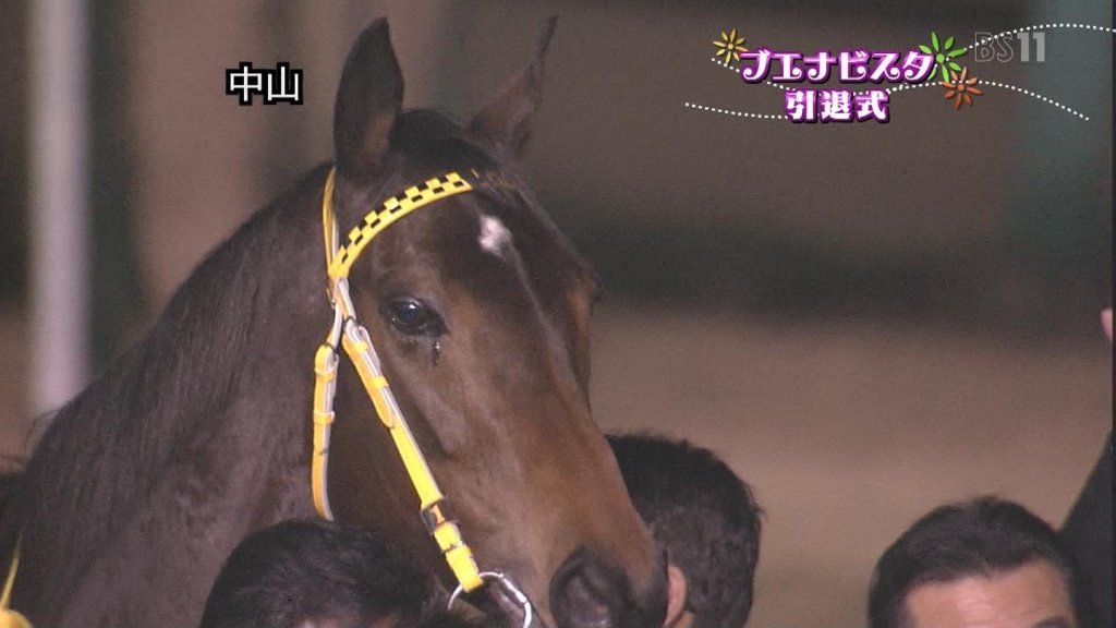 涙を流すブエナいす他(拡大表示)