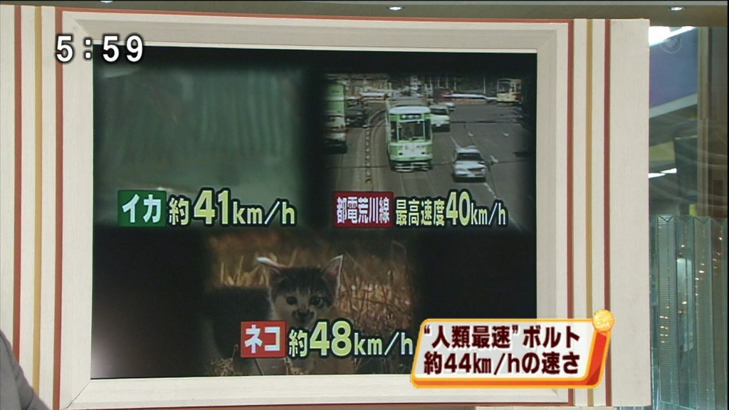 ボルトは猫より遅い(拡大表示)