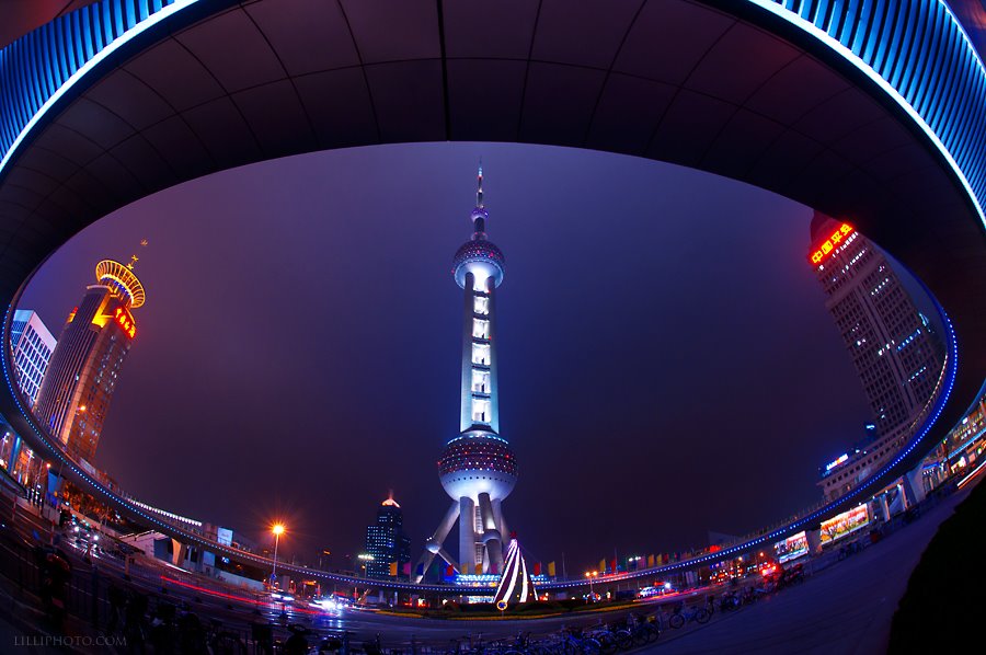 上海５(拡大表示)