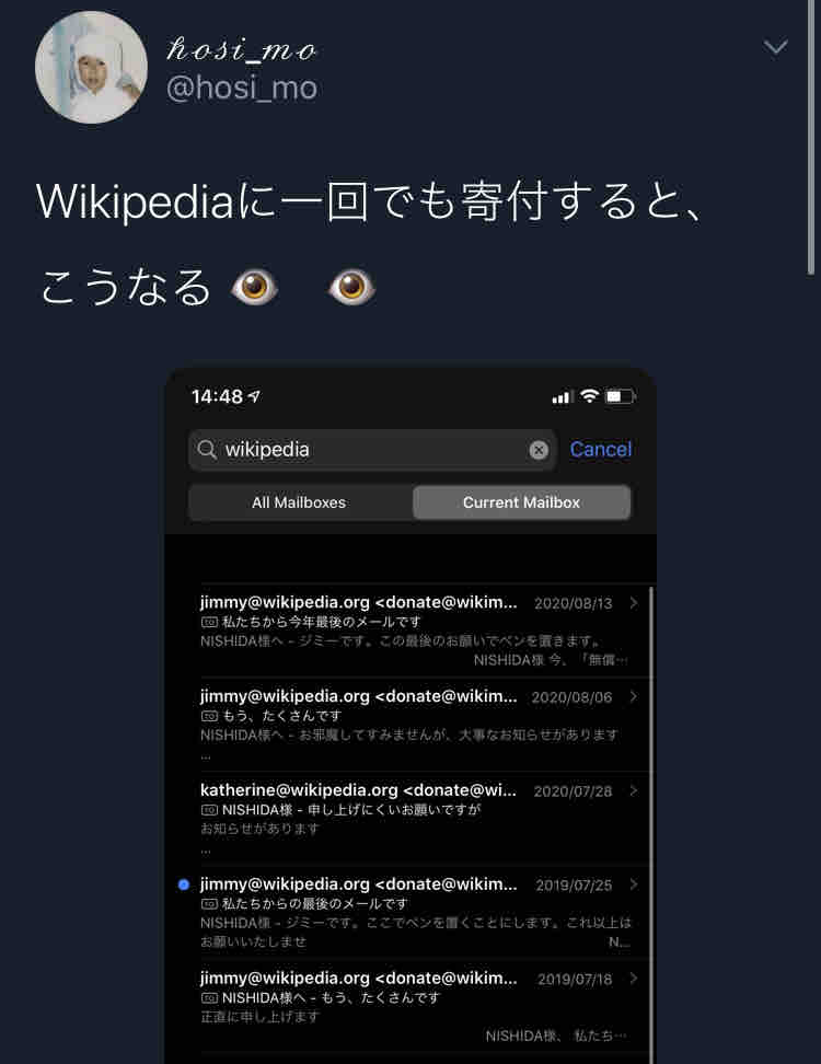 Wikipediaに1度でも寄付をするとこうなる あごひげ海賊団