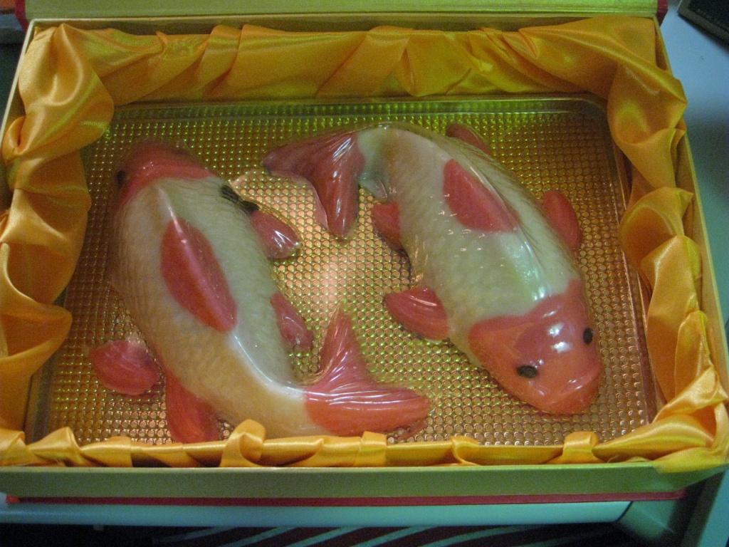 メッチャ気持ち悪い金魚(拡大表示)