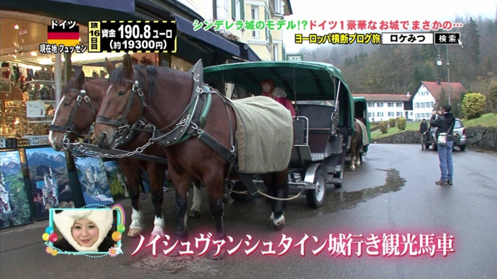 観光馬車の馬(拡大表示) 観光馬車の馬(拡大表示)