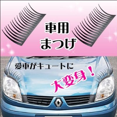 車用まつげ(拡大表示)