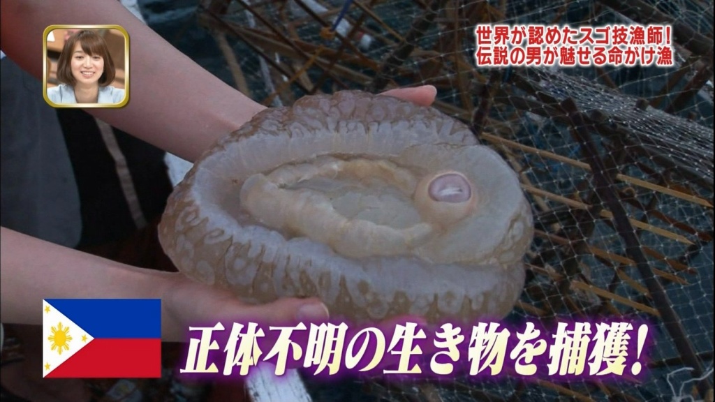 正体不明のいきもの２(拡大表示)