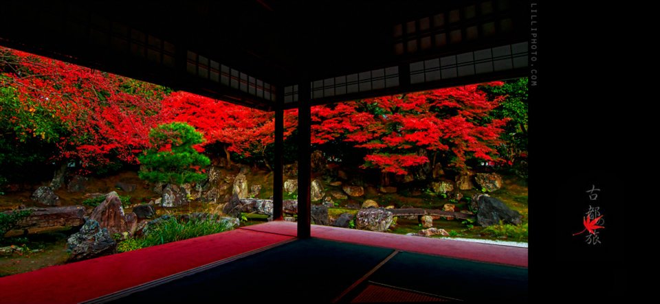 京都２(拡大表示)