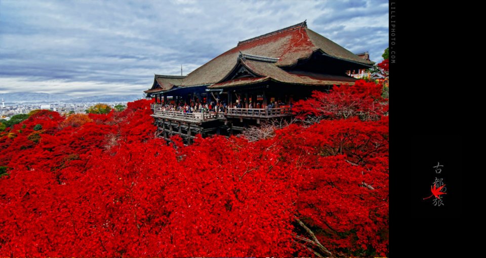 京都９(拡大表示)