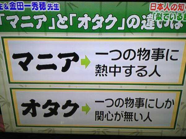 マニアとオタクの違い(拡大表示)