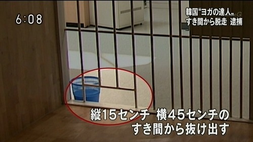 韓国ヨガの達人の脱走(拡大表示)
