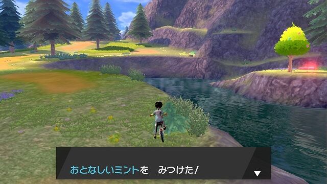ミントの落ちている場所 全30箇所 ポケモン雑記