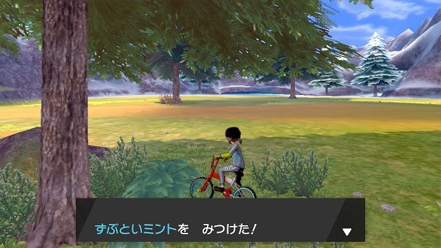 ミントの落ちている場所 全30箇所 ポケモン雑記
