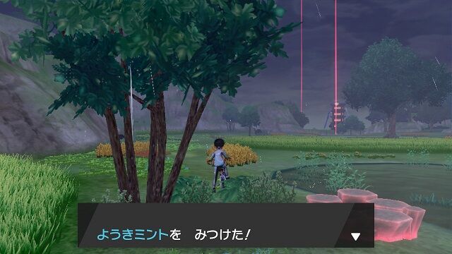 ミントの落ちている場所 全30箇所 ポケモン雑記