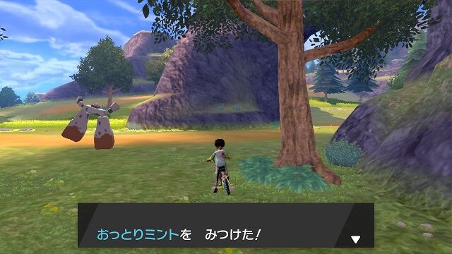 ミントの落ちている場所 全30箇所 ポケモン雑記