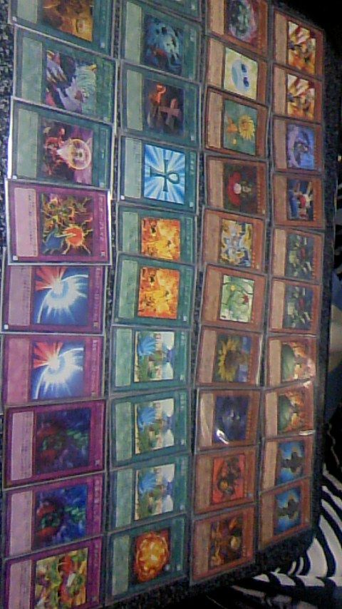 遊戯王デッキレシピ 植物族 三人の寵姫 Chronostarのカードゲーム症候群 遊戯王デッキレシピ 植物族 三人の寵姫 Chronostarのカードゲーム症候群