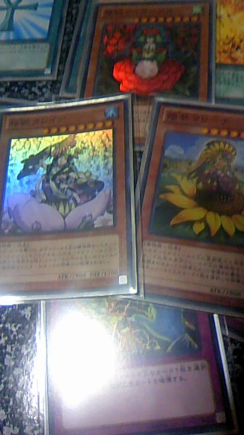 遊戯王デッキレシピ 植物族 三人の寵姫 Chronostarのカードゲーム症候群 遊戯王デッキレシピ 植物族 三人の寵姫 Chronostarのカードゲーム症候群