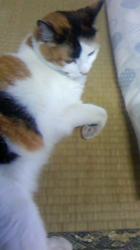 ヴァンガード ロックオンビクトリー プレイ日記７ 一周目クリアー Chronostarのカードゲーム症候群