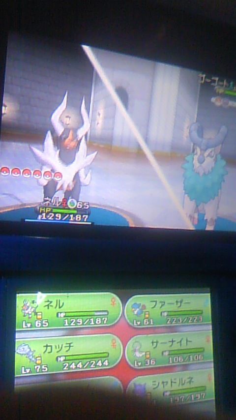 ポケモンｘ ハンサムさんマジハンサムｗ Chronostarのカードゲーム症候群