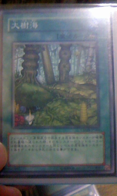 大樹海のポテンシャル 昆虫さんパラダイス Chronostarのカードゲーム症候群