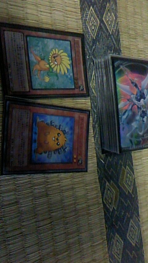 遊戯王論争 ボルチューとオワタッコ どっちが便利 Chronostarのカードゲーム症候群 遊戯王論争 ボルチューとオワタッコ どっちが便利 Chronostarのカードゲーム症候群
