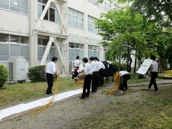 巻いた新聞を持ってきて・・・