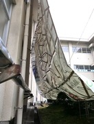 裏面1
