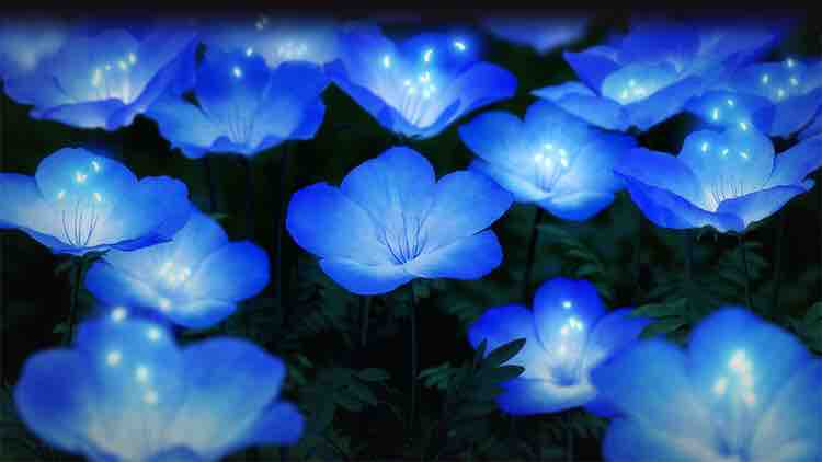 さよならの朝に約束の花をかざろう さよ朝 感想 私横格は平均値でっていったよね さよならの朝に約束の花をかざろう さよ朝 感想 私横格は平均値でっていったよね