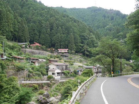P1110229