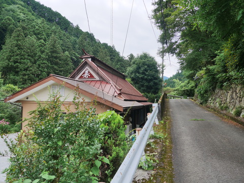 P1110245