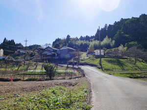 P1090416