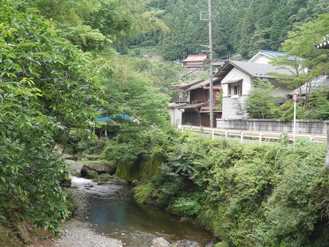 P1110235