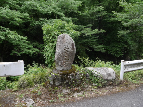 P1110233