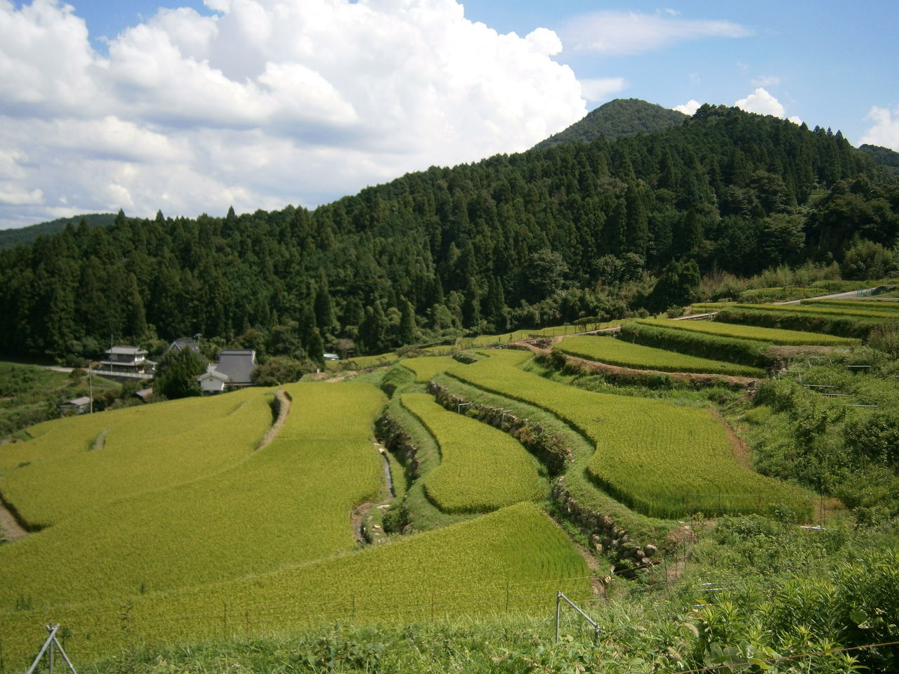 能勢長谷の棚田 大阪府能勢町 原風景へ 人々の暮らしが織りなす風景