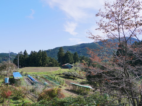 P1090396