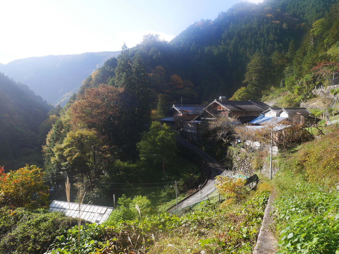多摩川を歩く 東京都内にある天界の集落 奥多摩町峰 奥 原風景へ 人々の暮らしが織りなす風景 多摩川を歩く 東京都内にある天界の集落 奥多摩町峰 奥 原風景へ 人々の暮らしが織りなす風景
