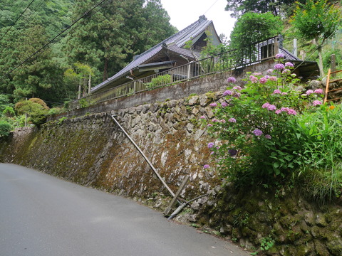 P1110188