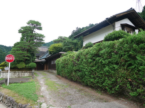 P1110241