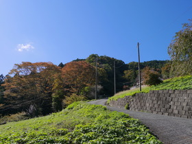 P1090390