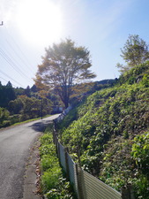 P1090420