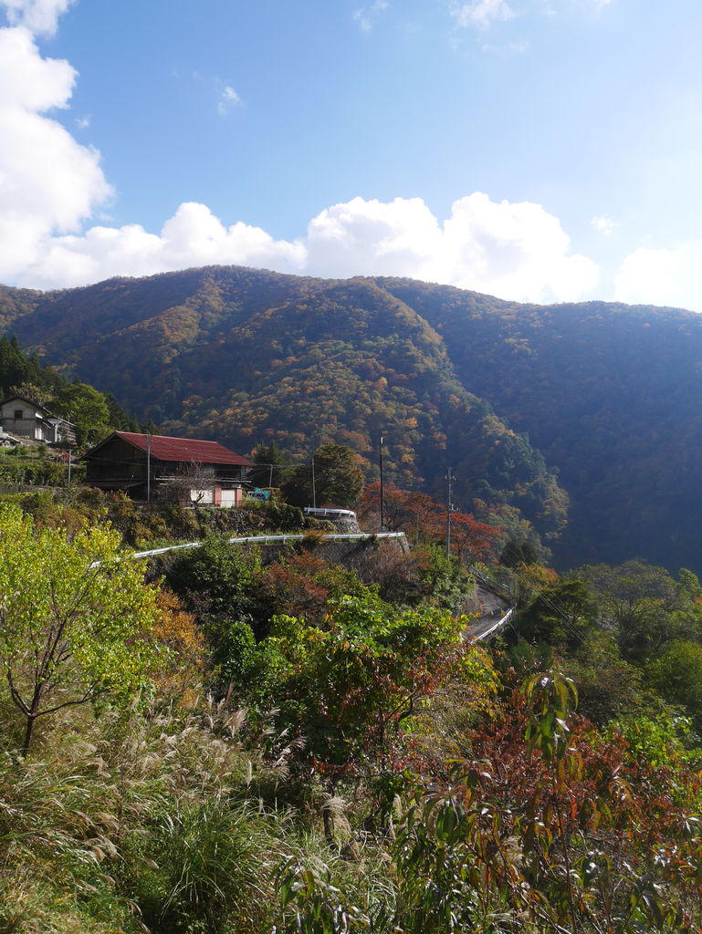 多摩川を歩く 東京都内にある天界の集落 奥多摩町峰 奥 原風景へ 人々の暮らしが織りなす風景 多摩川を歩く 東京都内にある天界の集落 奥多摩町峰 奥 原風景へ 人々の暮らしが織りなす風景