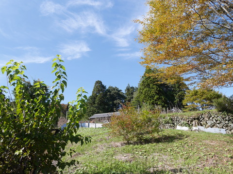 P1090418