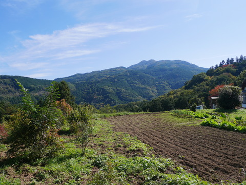 P1090412