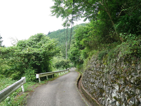 P1110247