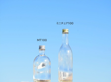 �ͣԣ����� �� �ߥ˥��奢������ �ӥ�