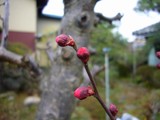 594696a7.jpg