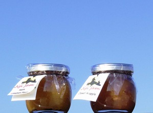 ���ʣ����ӣ� �������