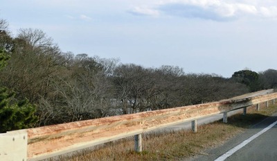 酒津公園