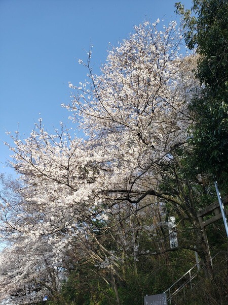 ­����Ҥκ�