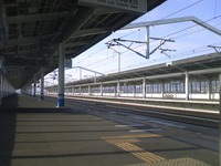 �����߱�