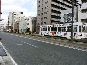 丸の内 ariella